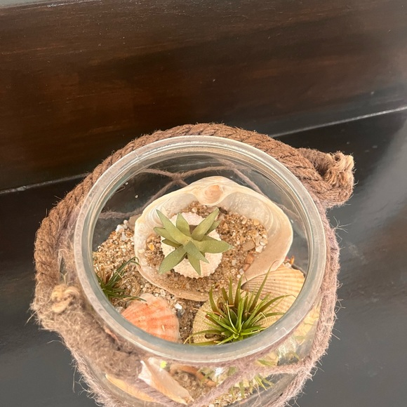 Terrarium - Picture 3 of 3